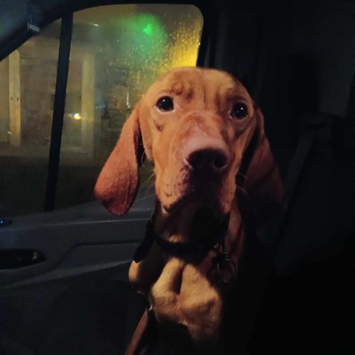 409806822_674977574818688_5846755305790117964_n