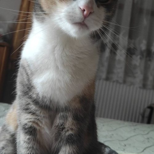 630109327_4150463028539145_5528852046428608780_n-3