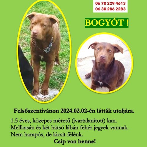 FB_IMG_1708024401069