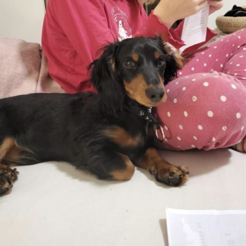 Kepernyokep-2023-12-09-062438