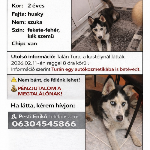 inbound8182403500360054853-1